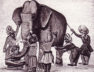 слон и слепые мудрецы